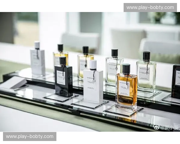 阵容太阳：为生活注入温暖与美感